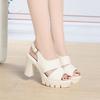 Summer High Thick Heel Sandals Women Versatile Thick Sole Shoes In Fish Mouth Waterproof Platform One-Button Sandals Fashionable