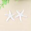E-Commerce Firm Sale 40mm Flatback Resin Cabochons Large Starfish Design with Artificial Sea Theme for Souvenirs
