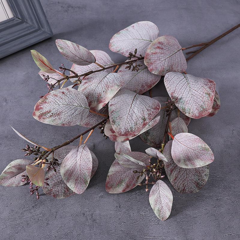 

Simulation Green Plant Long Branches with Fruit Eucalyptus Eugene Money Leaf