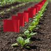 Survey Marking Flags with Stakes | Lightweight Flexible Construction, PVC Flag, Easy To