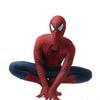 Remy Tonibi Spider-Man Cosplay Bodysuit – Halloween Zentai Anzug, Ganzkörper-Spandex-Kostüm für Comic- & Anime-Fans