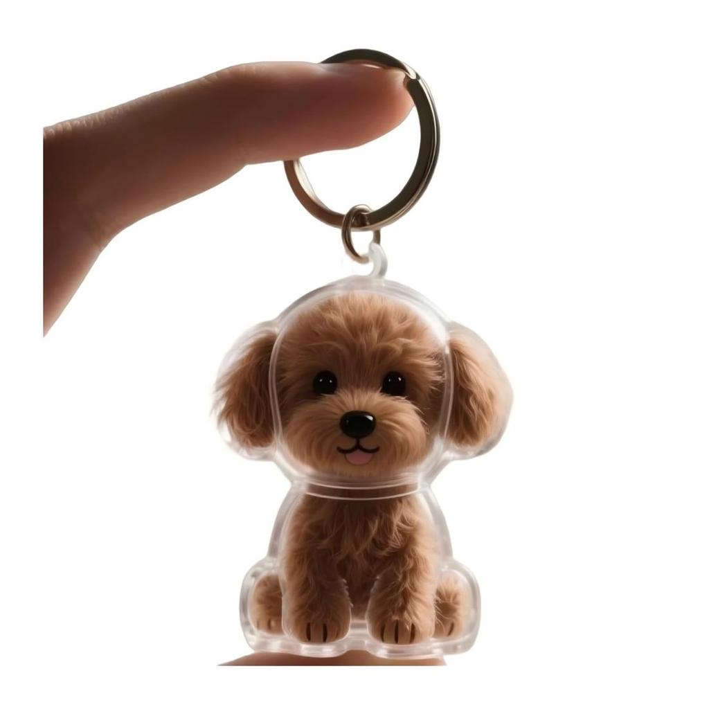 Minnesflaska för husdjurshår till hund- och katträvar Transparent förvaringsbehållare för gör-det-själv-dekoration Gåva till husdjursälskare Display