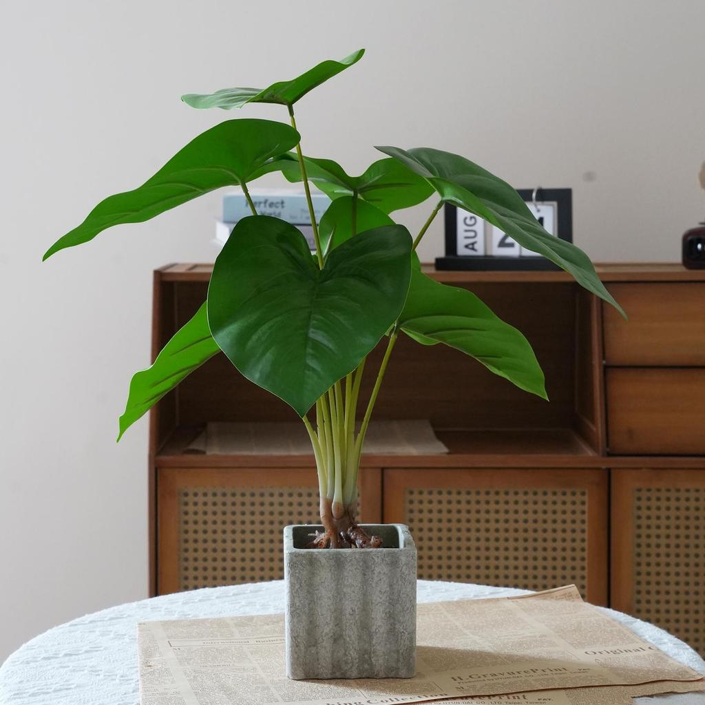 Artificial Turtle Back & Caladium Leaf Plants - Small Potted Decorations for Office, Living Room, or Coffee Table