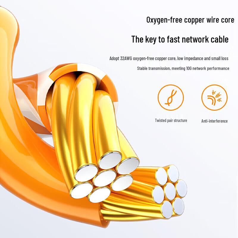 BIAZE CAT6A Oxygen-Free Copper 10 Gigabit Ethernet Patch Cable