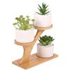 1pc 2-Tier Bamboo Stand,Bamboo Shelf for Home/Office, Compact Design,Perfect for Home and Office Desktop and Balcony Decor
