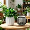 Mini Self Watering Flower Pot Fish Tank Transparent BPA-Free Plastic Dual Use Decor for Office Desktop Home Decoration