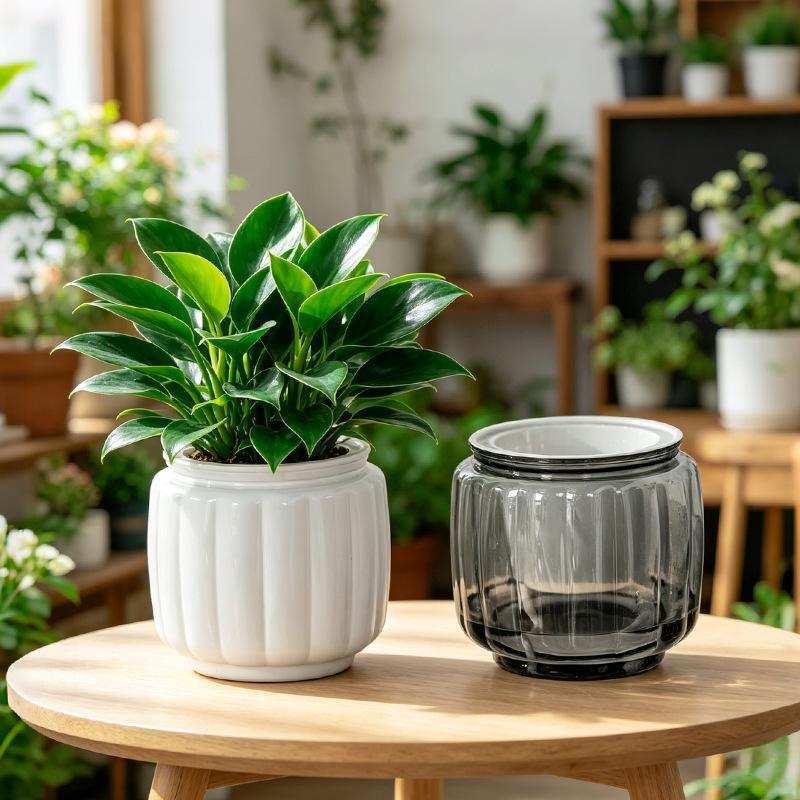Mini Self Watering Flower Pot Fish Tank Transparent BPA-Free Plastic Dual Use Decor for Office Desktop Home Decoration