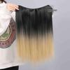 Women's One-Piece Hidden Hair Highlights Clips