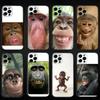 Affen Memes Lustig Handyhülle Für iPhone 16,15,14,13,12,11 Plus,Pro Max, Weiches Silikon Schwarze Hülle