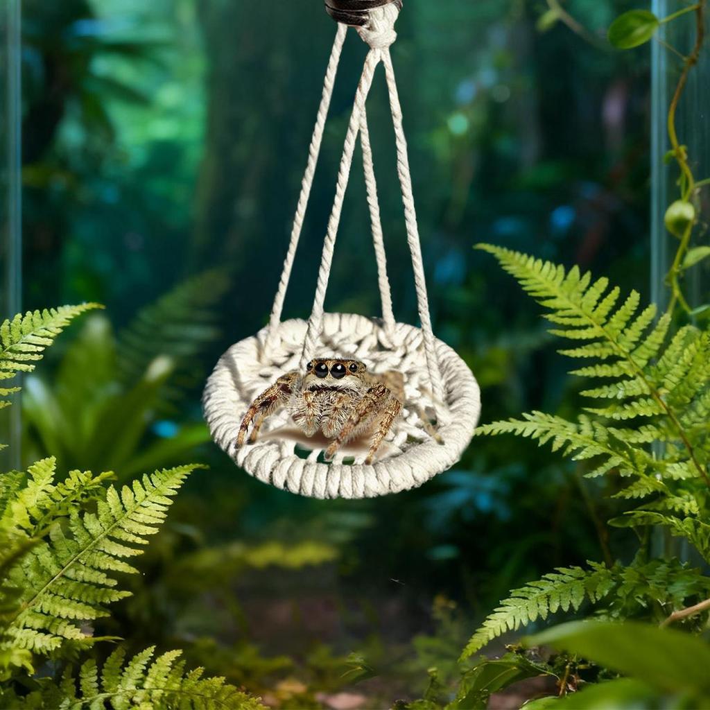 Jumping Spider Enclosure Accessories Hangable Rope Climbing Swing Jumping Spider Terrarium Decor For Tree Frogs Hermit Crabs