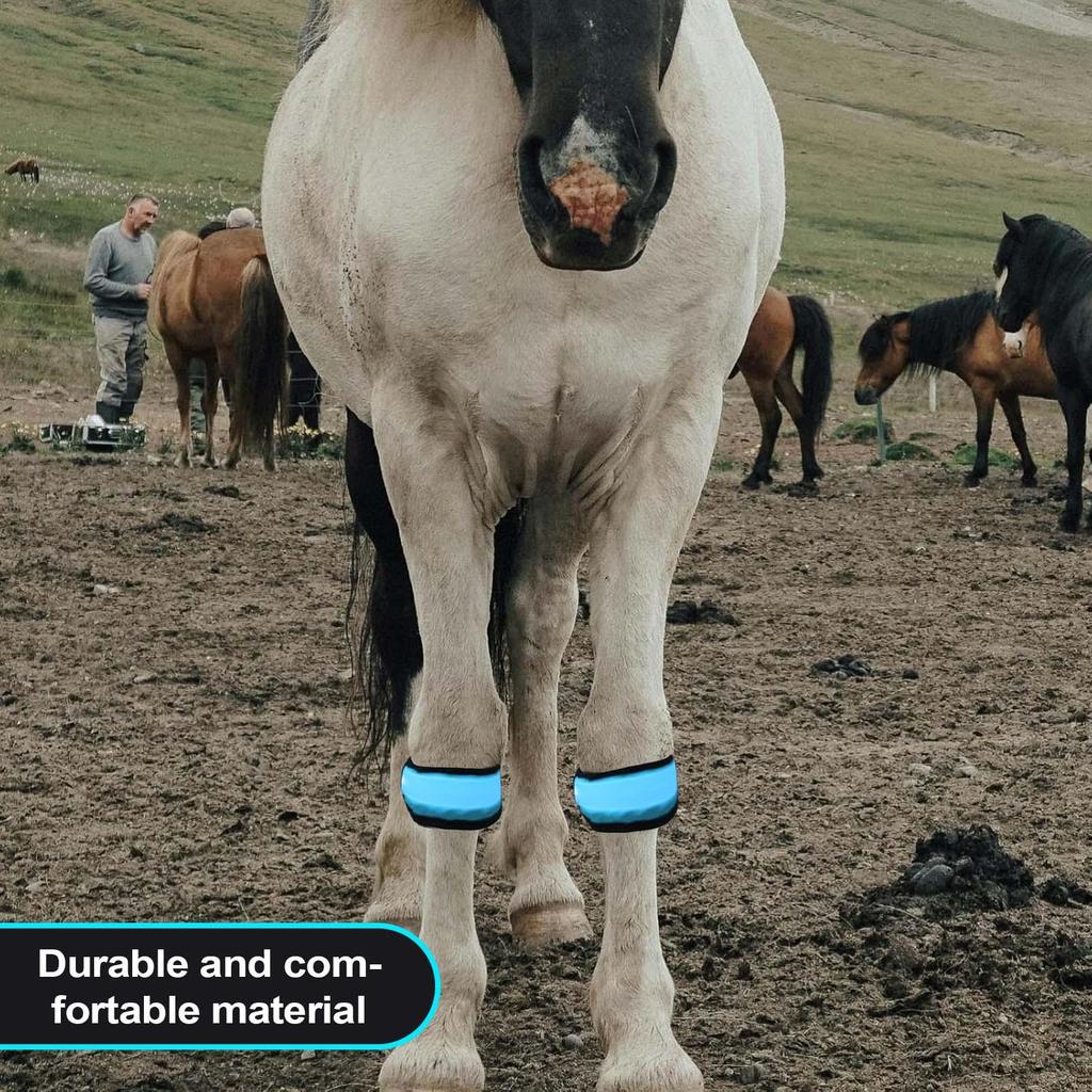 Leg Strap For Horse 4 Pieces Reflective Animals Foot Wraps Horse Leg Bands With LED Light For Grassland Stables Equestrian Night