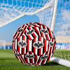 Eintracht Frankfurt Crest Size 5 Soccer Ball, Suitable for Training and Matches, High-Elasticity, Wear-Resistant Material Gift for Fan