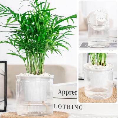 Decoración para el hogar
– Macetas decorativas