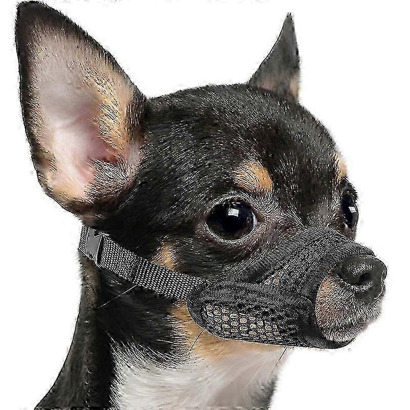 Gaas Snuit voor Honden met Korte Snuit - Anti-Bijten voor Kleine & Middelgrote Rassen Zoals Chihuahua, Pomeriaan, Brachycefale Honden