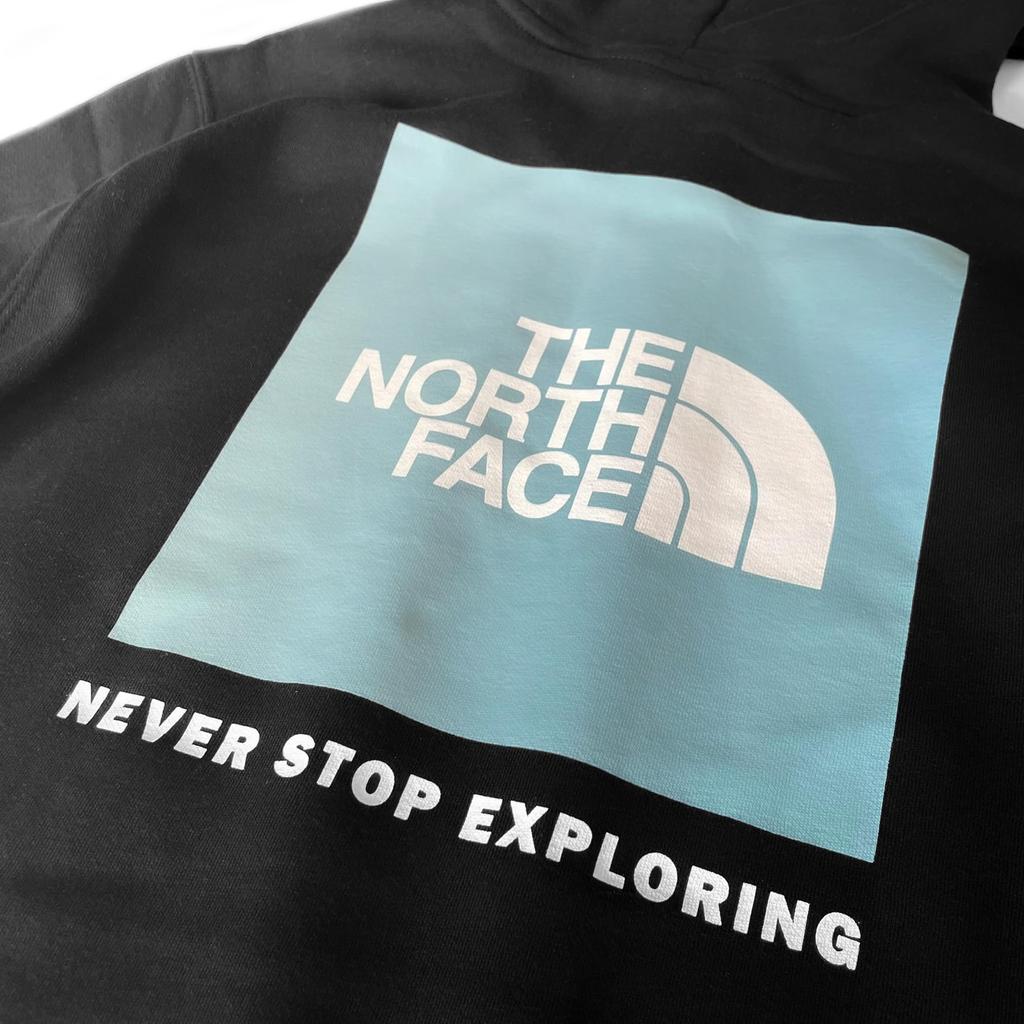 The North Face Box NSE TNF Print with Back Print and Box Size Small Men's Hoodie, Black/Art Logo, [Used]