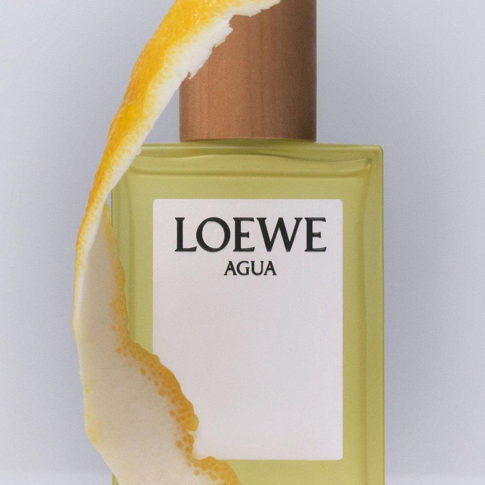 Loewe Agua Eau de Toilette 50ml