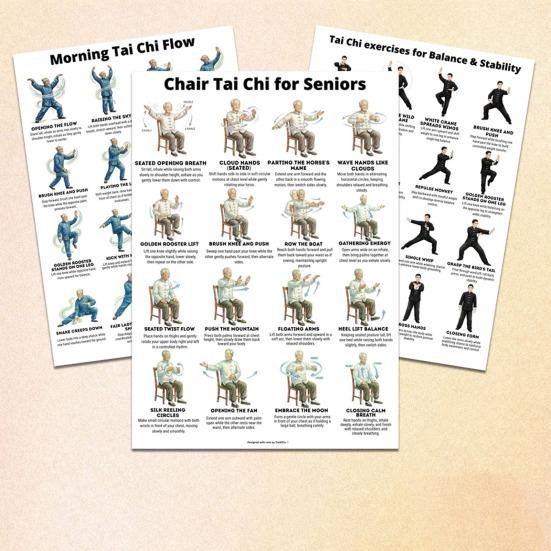 3 kusy Tai Chi cvičebních plakátů Ilustrace sedavé Tai Chi sestavy Pokyny pro jemné cvičení pro začátečníky Tai Chi Seniory