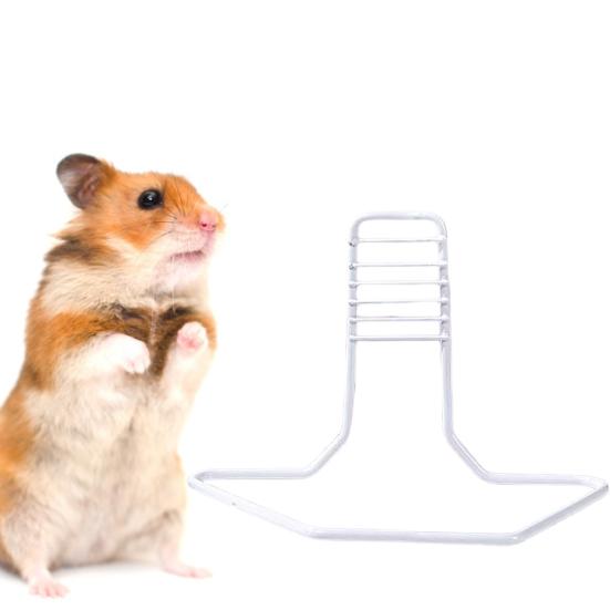 Supplies Bracket Adjustable Height Stable Creative Bite Resistant Non-slip Sports Training Solid Color Iron Hamster Running Wheel Support Rack