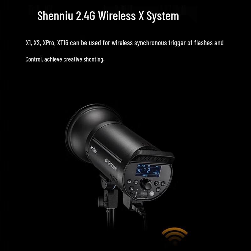 Godox DPIIIV-600W Studio Flash Kit