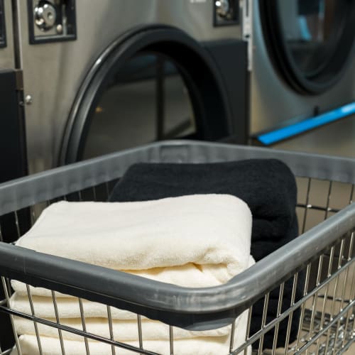 [.co.jp Exclusive] Towel Laboratory Everyday Simple #001 Face Towels, Soft Gray, 5-Piece Set, Standard Type, Medium Weight, Low Lint, Fast Absorbency,