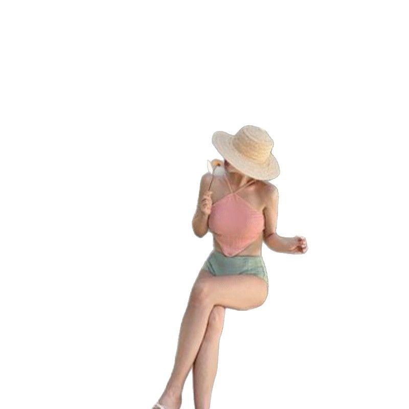 Bikini Korea High Waist Cover Belly Halter Simple Split Bikini Swimsuit Women Beach Hot Spring Vacation