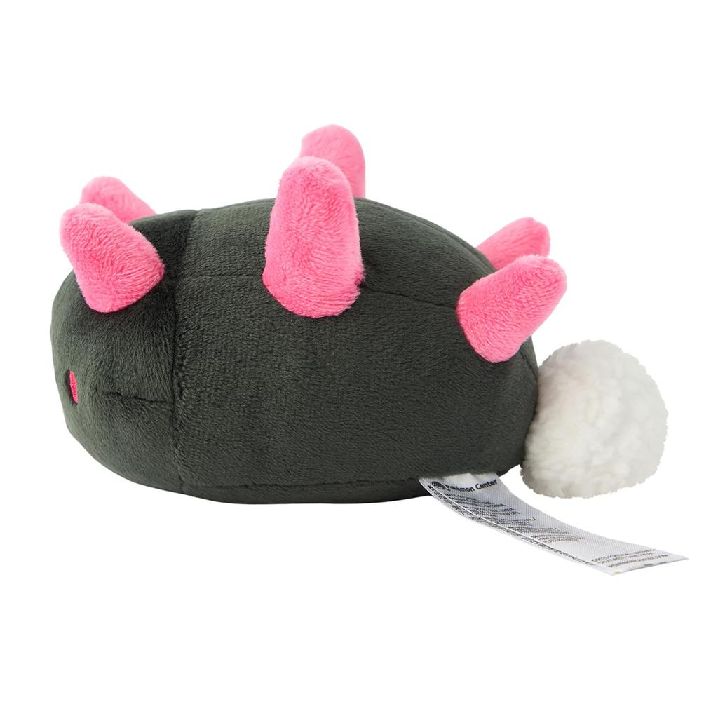 Pokémon Center Original 771 Plush Toy Pokémon Fit Namakobushi