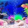Aquarium Fish Tank Landscape Pirate Ship Wreck Ship Decor Resin Boat Ornament Aquarium Accessories Decoration