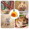 Cute Pet Fruit Nest Cartoon Fruit Pineapple Frog Cotton Nest Hanging Bed Hamster Hammock