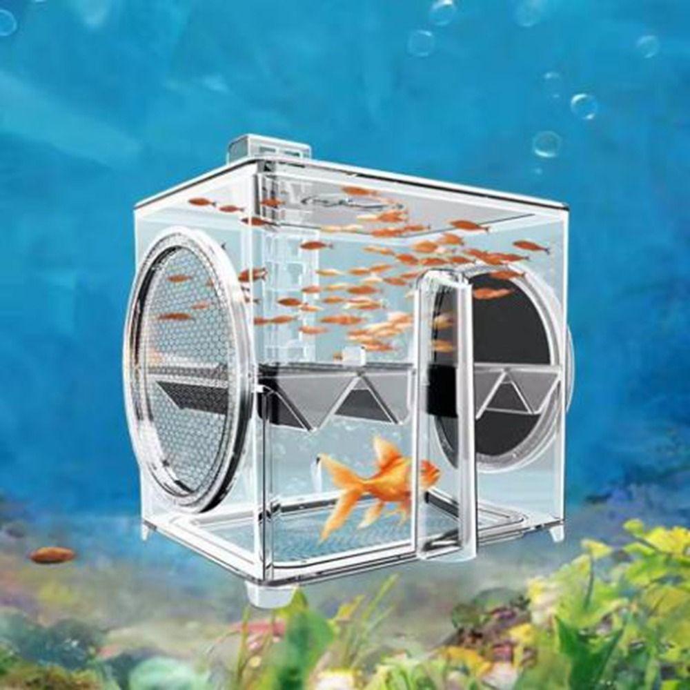 Pneumatic Fish Breeding Box Transparent Fish Isolation Box Suspended Incubator  Clownfish
