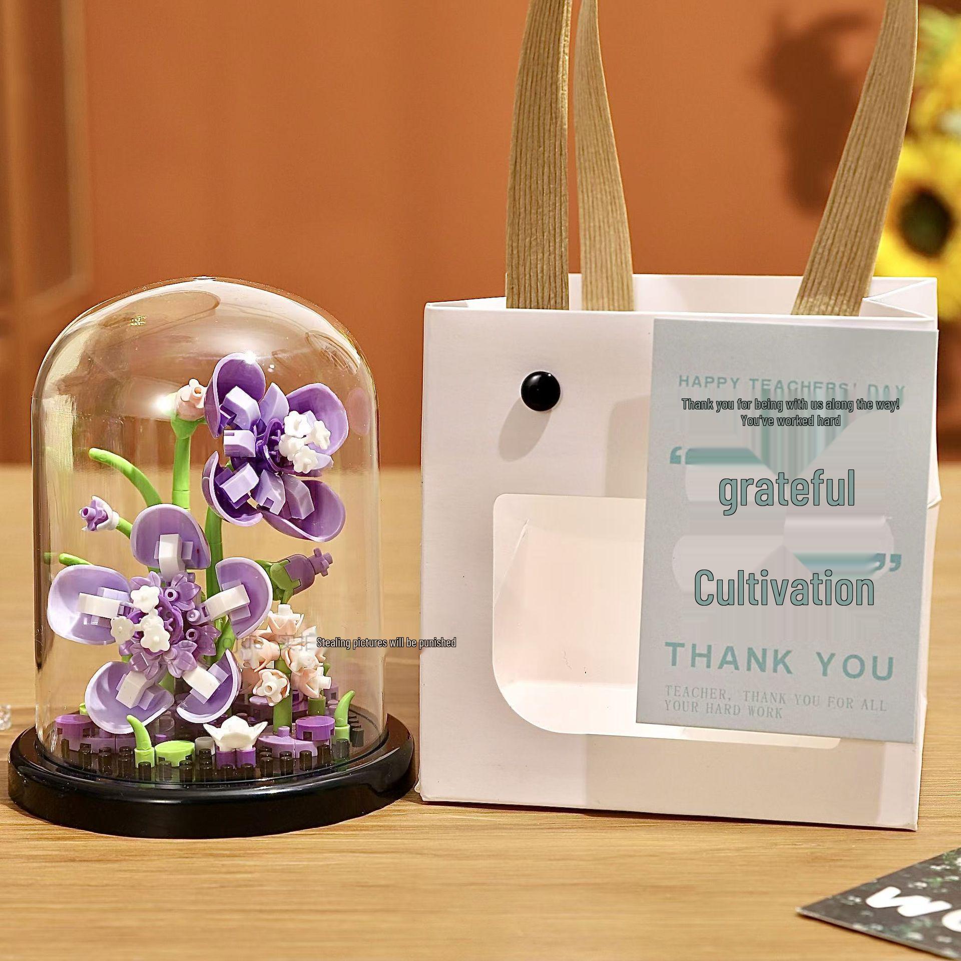 Подарок ко Дню учителя: Совместимый с Lego строительный блок Суккулентный букет и фигурки