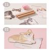 Animal Calendar Organizer Multi-Functional Cat Desk Calendar Cute Desk Agenda Double-Sided Pet Yearly Scheduler For Gift For