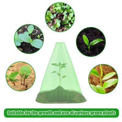 Transparent, Sun Protection,10-pack, Plant Protection, Plant Aids, Growth Aids, Plant Caps