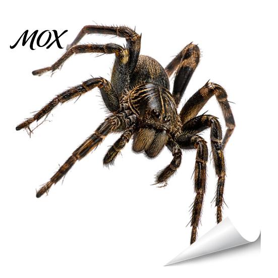 3D Effect Halloween Decal Spider Decorative Sticker for Car, Broken Hole Dog Cat Owl Self-Adhesive Sticker, Waterproof Removable PVC Holiday