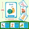 50 Kinder Englisch Erleuchtung Tier Kognitive Bildungskarten Natürliche Phonetik Ebay Frühe Bildung Lernspielzeug
