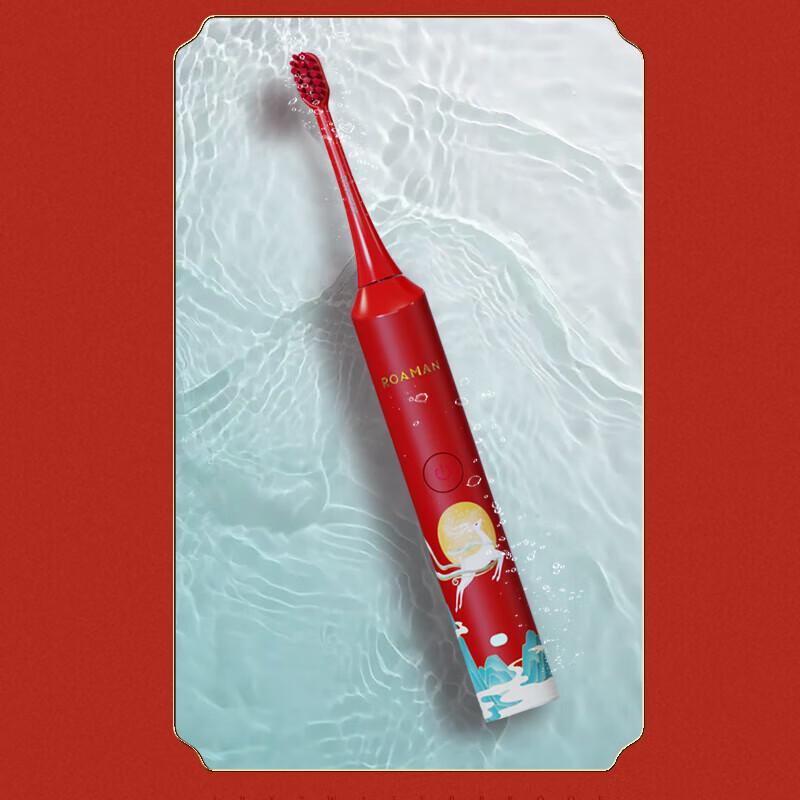 ROAMAN G10 Sonic Electric Toothbrush for Adults CN Plug (adapter Included)