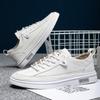 2025 direct supply spring and autumn new casual fashion trend versatile white shoes British board shoes men