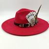 Men's Feathered Jazz Wool Panama Hat, European and American Style Wide-brimmed Party Hat, Fashion Accessory