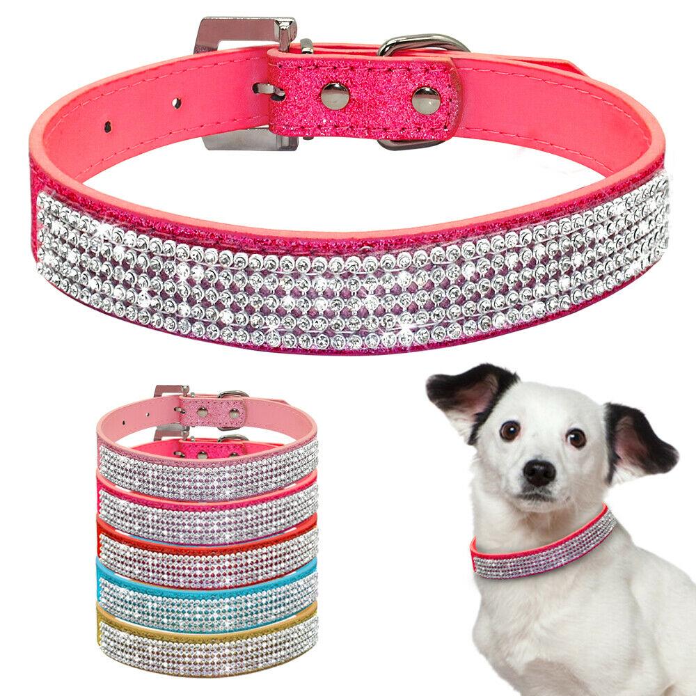 dog pink collar