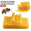 10pcs Bee Wax Foundations Beekeeping Bee Base Honeycomb Wax Beeswax Pieces Foundation Sheet Hive Frames Bee Honeycomb B0E1
