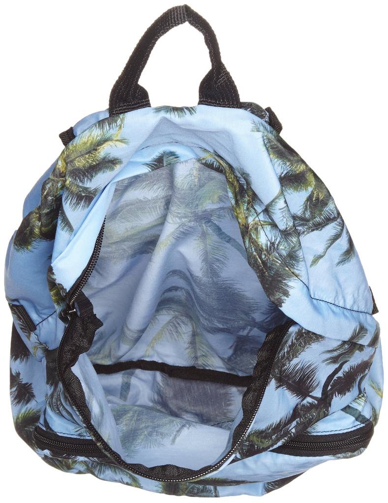 Nixon Backpack EVERYDAY Blue