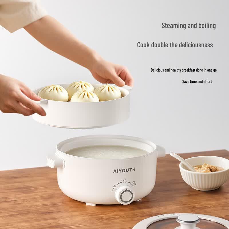 AIYOUTH 3L Multi-functional Electric Cooking Pot with Steamer