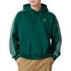 adidas Originals Listrado Design Quente Com Capuz Casual Pulôver Moletom Masculino Moletom Verde JP1070