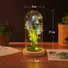 Tulip Gift For Girlfriend PU Simulation Tulip Night Light Gift With Glass Cover Decoration Creative Valentine's Day Gift Festive