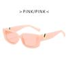 Rereo Cat Eye Frame Sunglasses Women Luxury V Sun Glasses Men Fashion Rectangle Jelly Glasses With Metal Hinges UV400