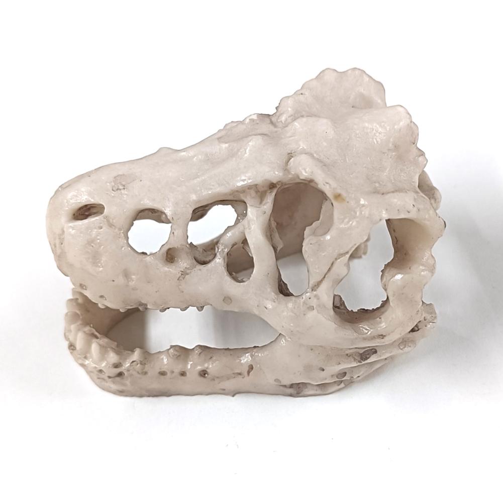 Resin Dinosaur Stone Statue Simulation Mini Crocodile Head Decoration Decorative Props Artificial Decor for Aquarium Landscaping