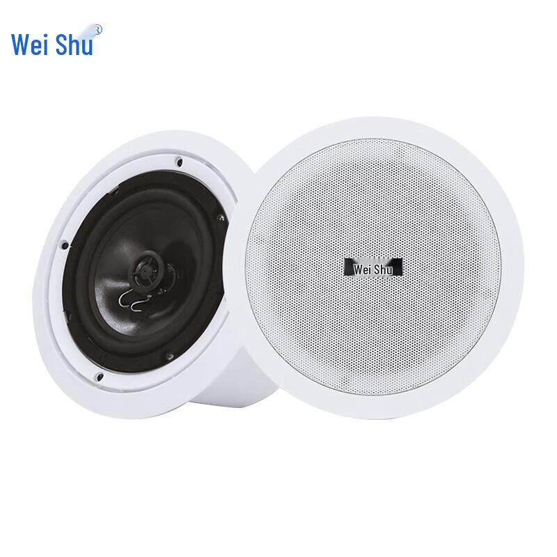 Weishu Professional Audio Loudspeakers (CN Version)