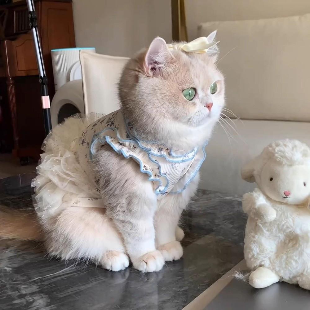 Breathable Dog Puffy Dress Summer Corgi Teddy Clothes Cute Pet Dress  for Small Dog Cat