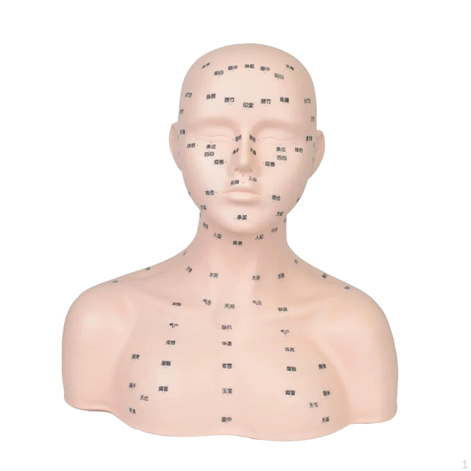 Mannequin Head Practice Tool Multipurpose Soft with Shoulders Training Model for Home