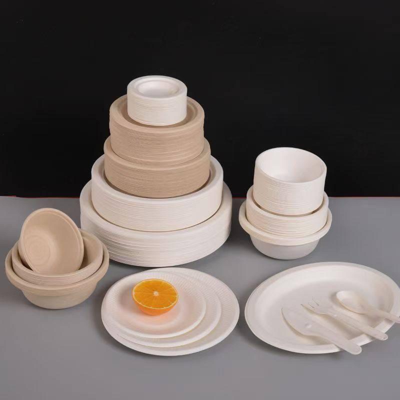 Disposable 10-inch White Paper Plates