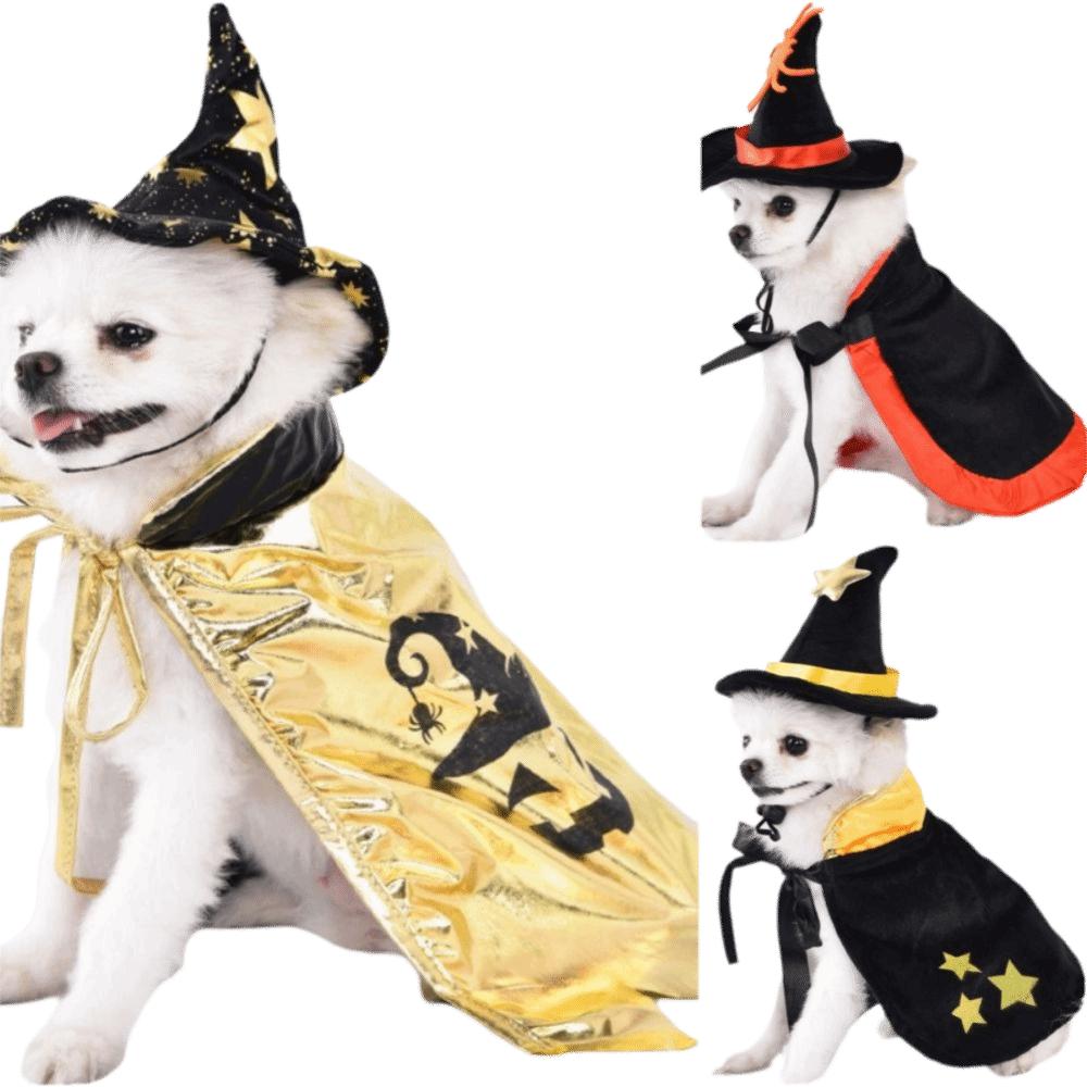 With Witch Hat Halloween Pet Costume Star Kitten Dress Cool Cat Cosplay Cloak  Festival